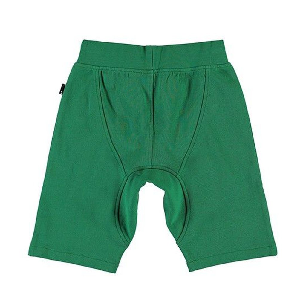MOLO - PANTALON ASHTON SHORT JUNGLE