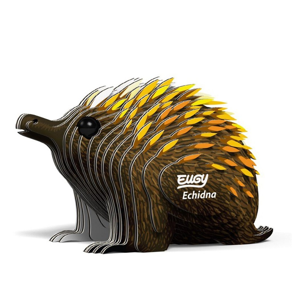 Eugy Echidna DODOLAND
