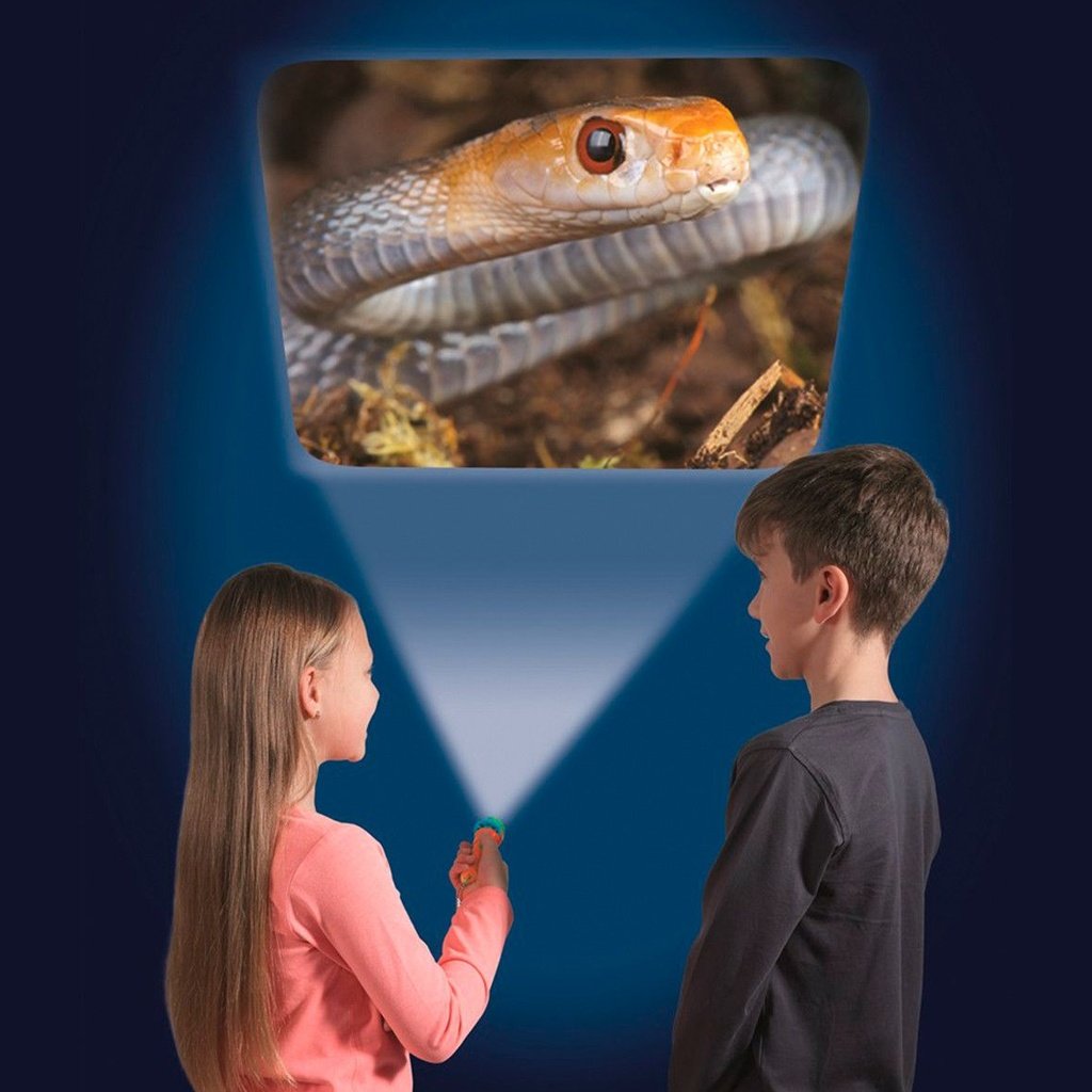Linterna Animales Mortíferos