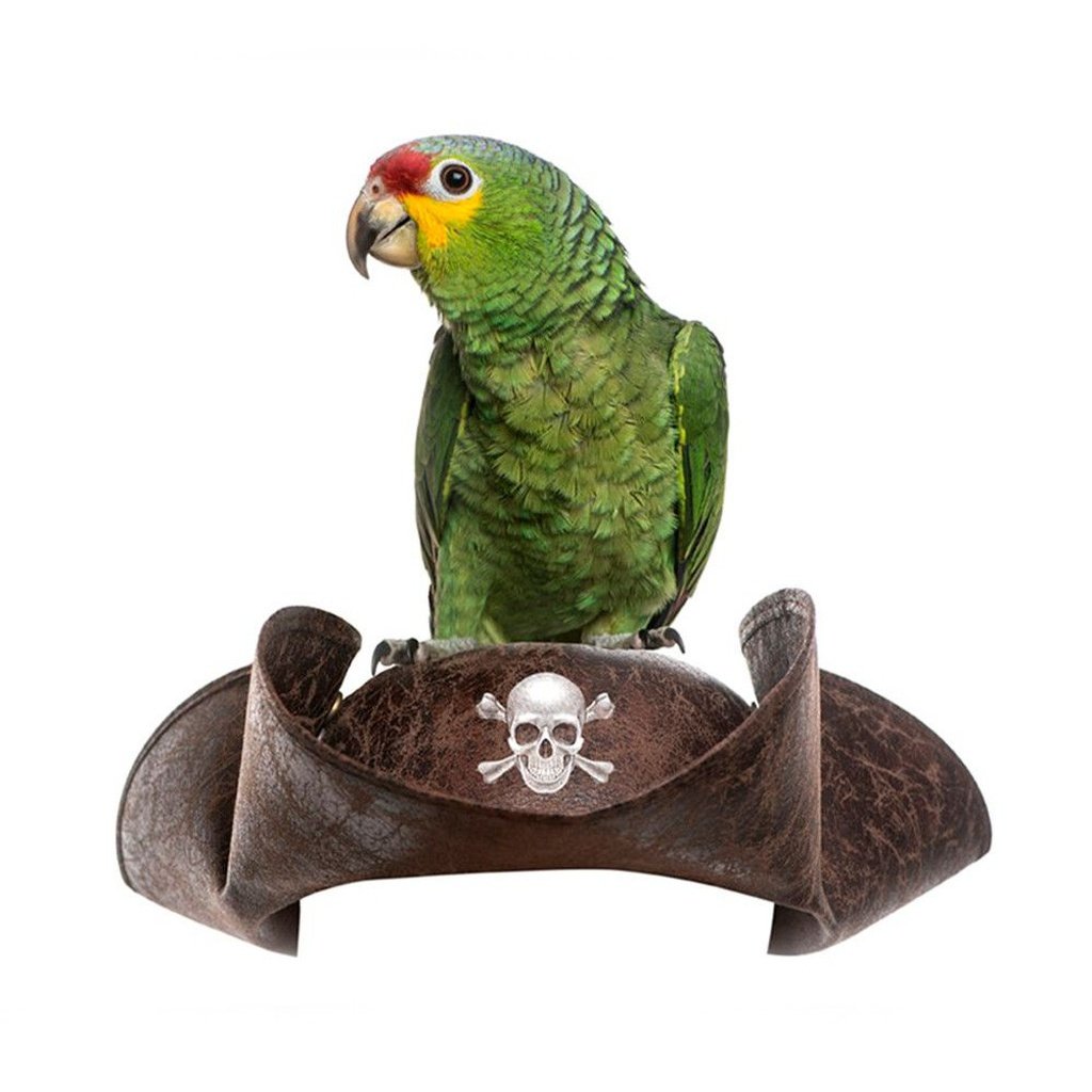 Linterna Piratas