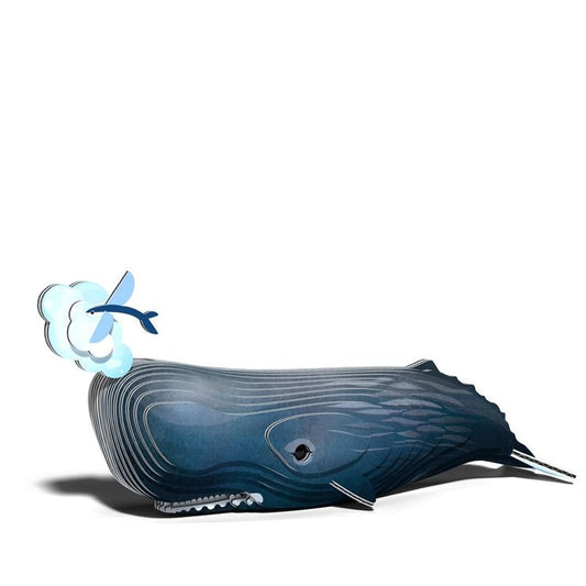 Eugy Sperm Whale DODOLAND