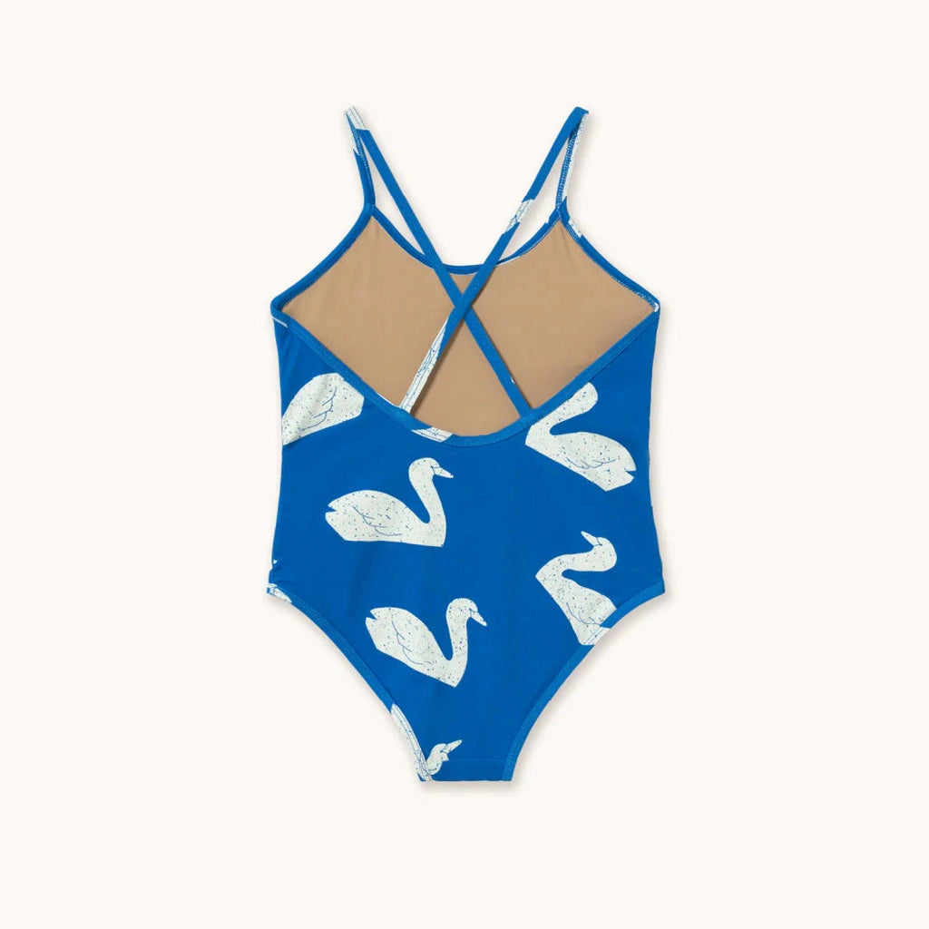5626684