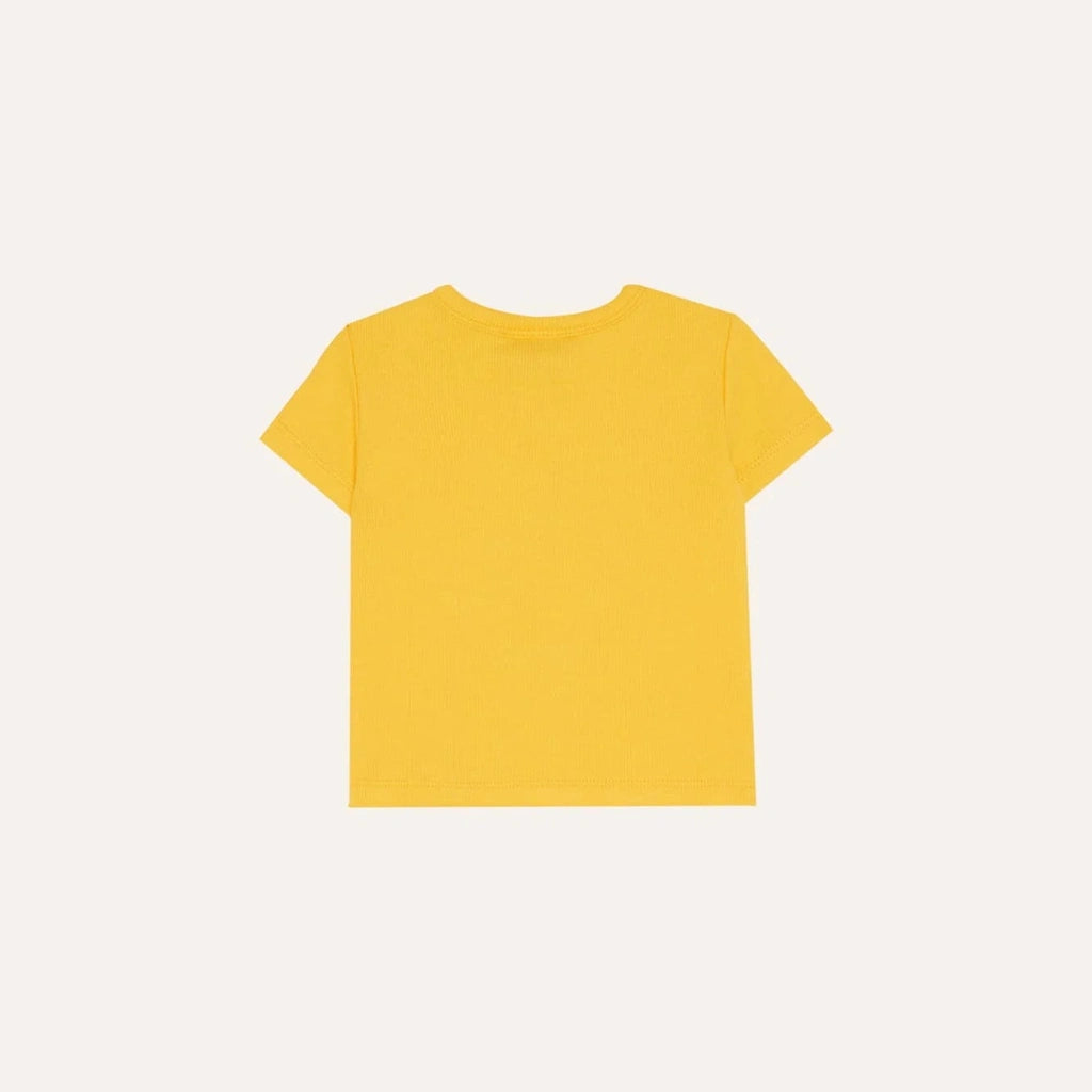 5558988