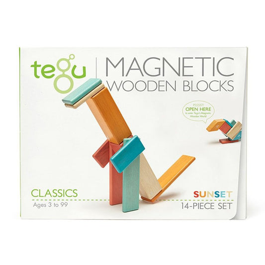 Magnetic wooden blocks TEGU